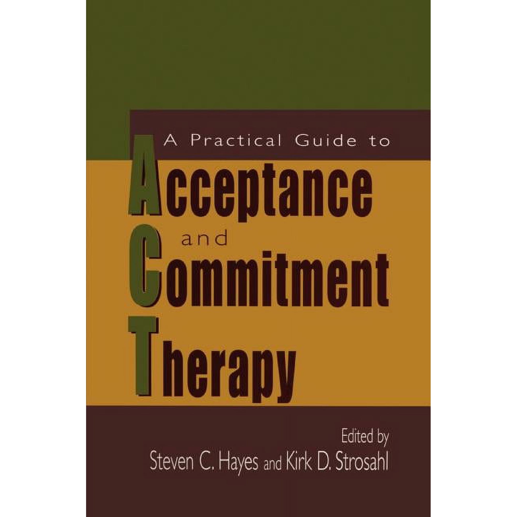 A Practical Guide to Acceptance and Commitment Therapy (Paperback)