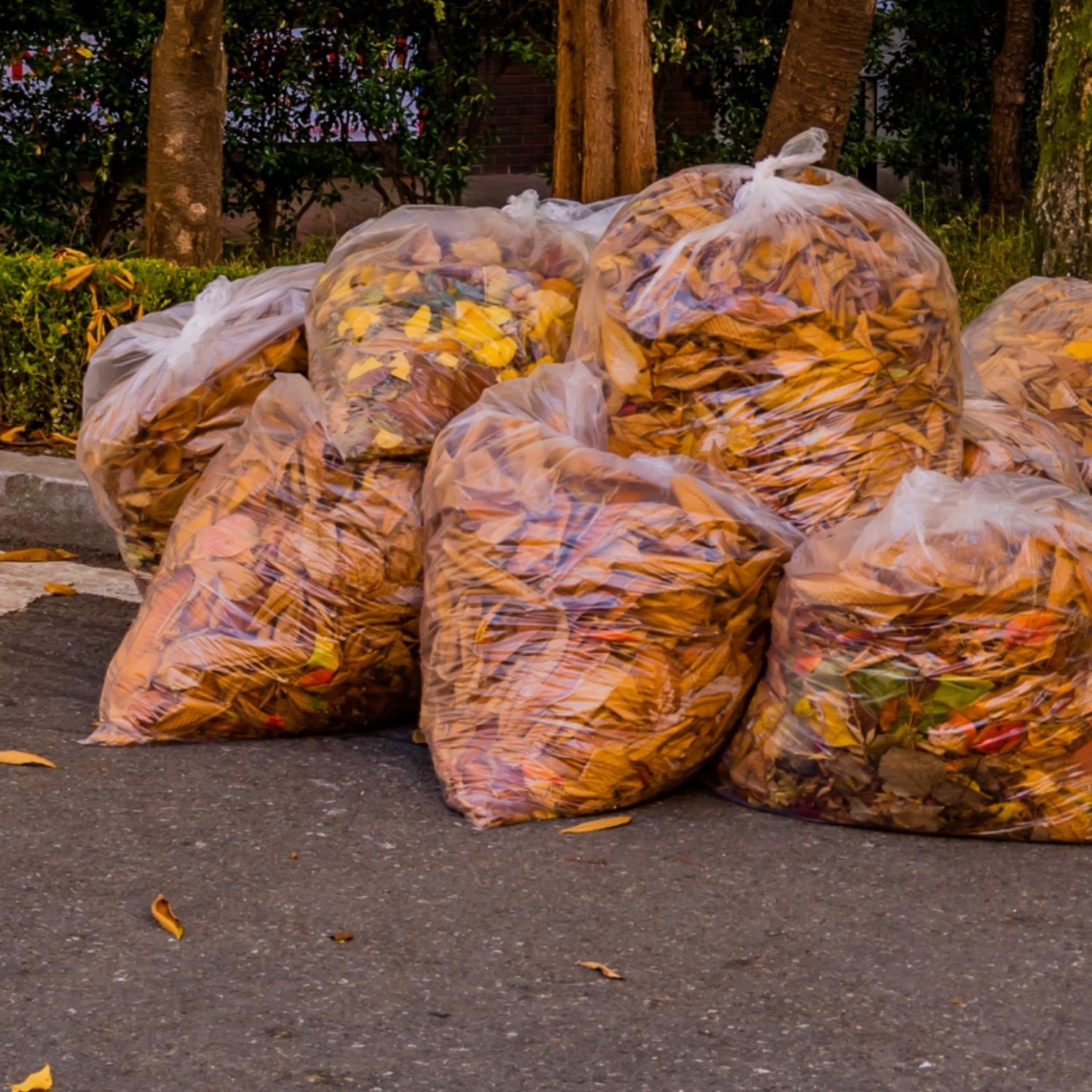 Large Clear Heavy Duty Recycle Trash Bags, 45 Gallon, 100 Count