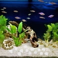 thumbnail image 1 of KALLORY 300Ud Para Acuarios Hechas En Resina Para Marina, 1 of 8