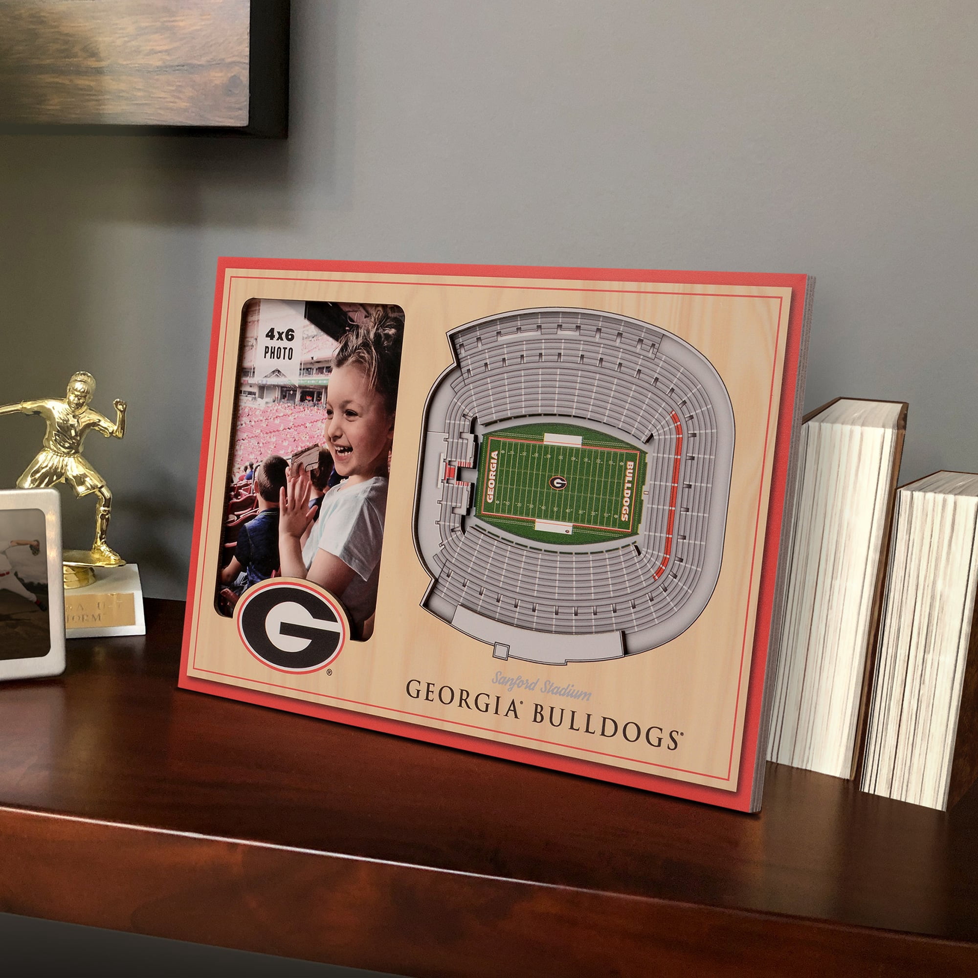 IDNA Georgia Bulldogs 3D StadiumViews Picture Frame