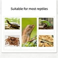 thumbnail image 7 of Reptile Heat Lamp with Timer Adjustable Temperature, Full Spectrum Basking Lamp for Tortoise, Heat Lamp for Reptiles Lizards Gecko, Tortoise Heat Lamp Calcium Supplement Heating Lamp, 7 of 7