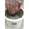XL, Slow Hay Horse Feeder