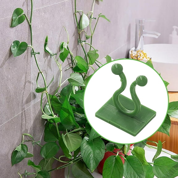 3Pcs Plant Climbing Hooks under $5! Xqxayjr 10pcs Plant Wall Climbing Holder,Green Vine Stem Support Clip for Pothos Ivy,Non-Marking Sticker Adhesive Garden Tool