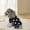 Black, variant on Dog Clothes Pet Dog Clothing Home Clothing Pet Clothing Pajamas Plush Pet Clothing Fall Dog Pajamas Bathrobe