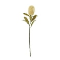 thumbnail image 1 of Hill Interiors Banksia Serrata Artificial Flower, 1 of 4