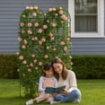 thumbnail image 3 of S-HOME Metal Garden Trellis Set, Rust-Resistant Finish, 2 Pack for Climbing Plants and Flowers, Outdoor, 3 of 10