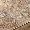 thumbnail image 3 of Livabliss Area Rugs for Living Room, 2x3 Aspendos Traditional Light Gray Rug, Bedroom Dining Room Home Decor Stain Resistant Carpet (2' x 2'11"), 3 of 6