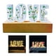 thumbnail image 5 of Lámpara de auténticas conservadas flores eternas románticas led lámpara para boda, Valentín, - Colco Luz de noche de amor, 5 of 8
