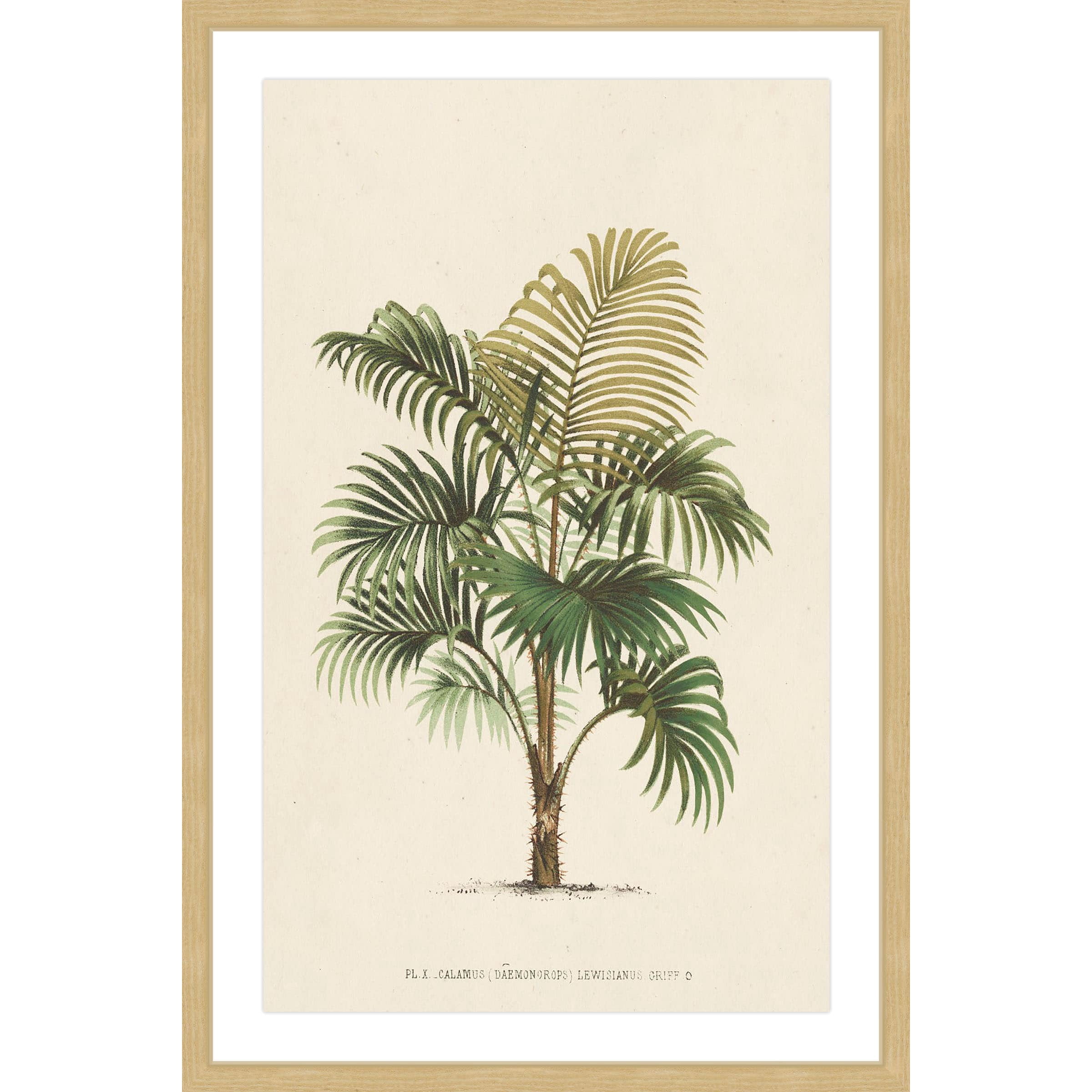 Marmont Hill "Les Palmiers IV" Framed Painting Print