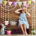 thumbnail image 5 of 3PCS Pom Pom Garland Easter Spring Home Indoor Wall Classroom Decor, Cute Hanging Rainbow Colorful Felt Ball Garland Baby Shower Wedding Birthday Party Supplies, 5 of 6