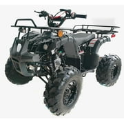 Taotao ATA 125D ATV 125, Air Cooled 1-Cylinder, Automatic-Tree Camo