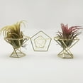 thumbnail image 5 of Dream Lifestyle 3 PCS Air Plant Holder, Metal Geometric Tabletop Air Plant Stand Rack Mini Air Fern Display Stand for Home, Office and Wedding Decoration, 5 of 8