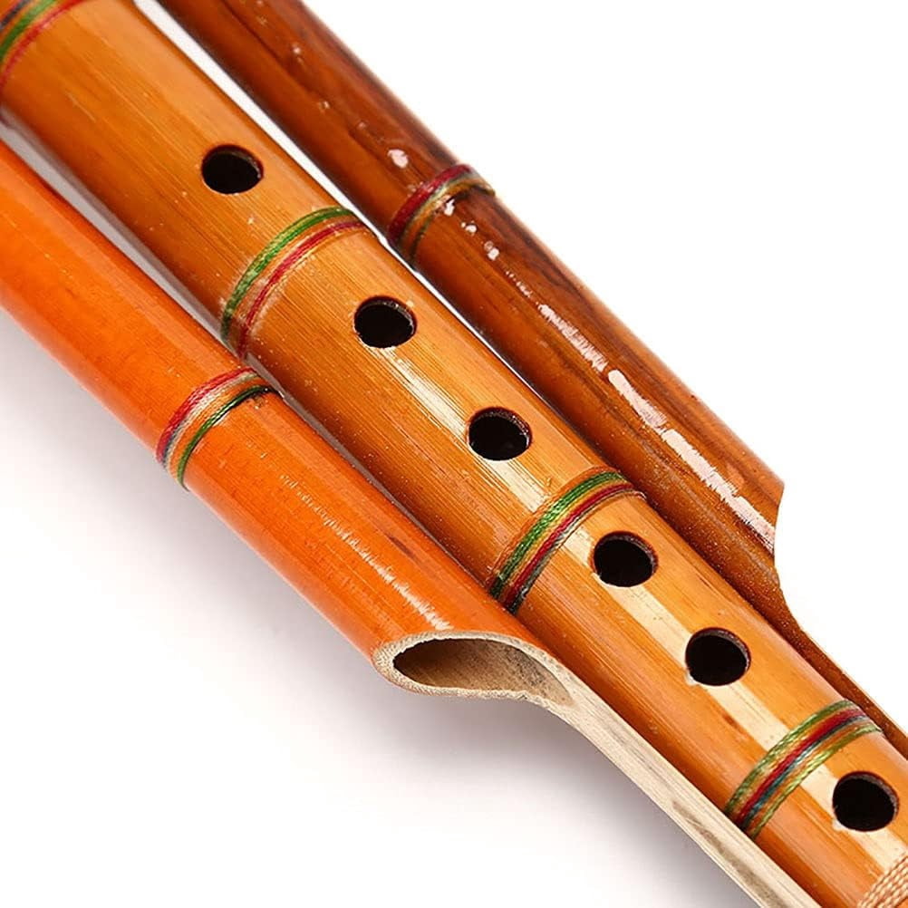 Professional Bamboo Hulusi,Gourd Cucurbit Flute,Chinese Handmade Ethnic Musical Instrument With Case For Beginner Music Lovers[Energy Class A],Key Of C