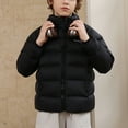 thumbnail image 3 of Kiijoy Toddler Boys Padded Coat Stand Up Collar Winter Warm Puffer Jacket, Sizes 2-3, 3 of 5
