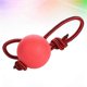 thumbnail image 1 of Durable Rubber Dog Molar Ball with Elastic String for Chew, Stress Relief, and Dental Play – Random Color, 1 of 5