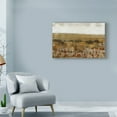thumbnail image 3 of Trademark Fine Art 'Afternoon Glow II' Canvas Art by Tim OToole, 3 of 4
