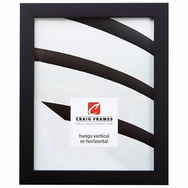 Craig Frames Confetti Modern Black Picture Frame 14 x 18 Inch