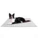 thumbnail image 1 of Alfombrilla Refrescante para Perros, Reversible, Autoenfriante (Fría y Cálida), para Mascotas (XL, 140 X 101 cm), 1 of 7