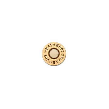 Wby Ammo 300wby 165gr Blstc 20/200