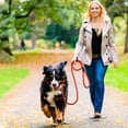 thumbnail image 4 of Universal Pets Training Leash Outdoor Nylon Cord Strap Leashes Adjustable Safety Ropes Practicing Leashes Accessory Lawn Courtyard Running, 4 of 8