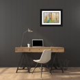 thumbnail image 3 of Paulson, Don 18x13 Black Ornate Wood Framed with Double Matting Museum Art Print Titled - Utah, Glen Canyon Reflection in Lake Powell, 3 of 4