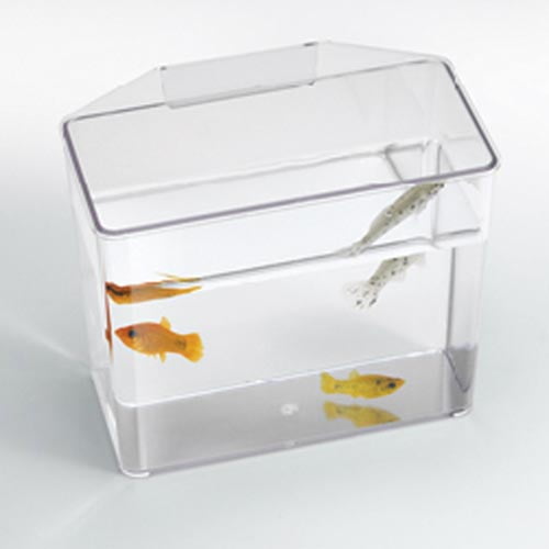 Lee's Break Resistant Specimen Container - Large ALE10523