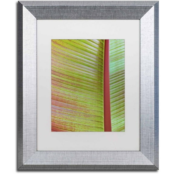 Trademark Fine Art 'Leaf Texture VI' Canvas Art by Cora Niele, White Matte, Silver Frame