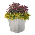thumbnail image 7 of Suncast Farmington 16" Square x 18" H Gray/White Resin Planter, 7 of 7