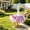 02B, variant on Nkmbld Porch Goose Outfits, Cute Goose Clothes for 23" Lawn Statue, Farmhouse Big White Gooses Sculpture Decoration for Garden Lawn Yard and Patio