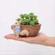 thumbnail image 5 of Tuerca de Ardilla, Maceta de Resina para Jardín, Jardinería de Escritorio, Maceta Suculenta, Planta Verde, Decoración, Cacahuetes, 5 of 6