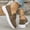 Brown#25, variant on Womens Orthopedic Shoes Arch Support Nurse Shoes Wide Width Slip on Non Slip Hiking Shoes Mesh Stretch Comfortable 2026 Orthopedic Shoes