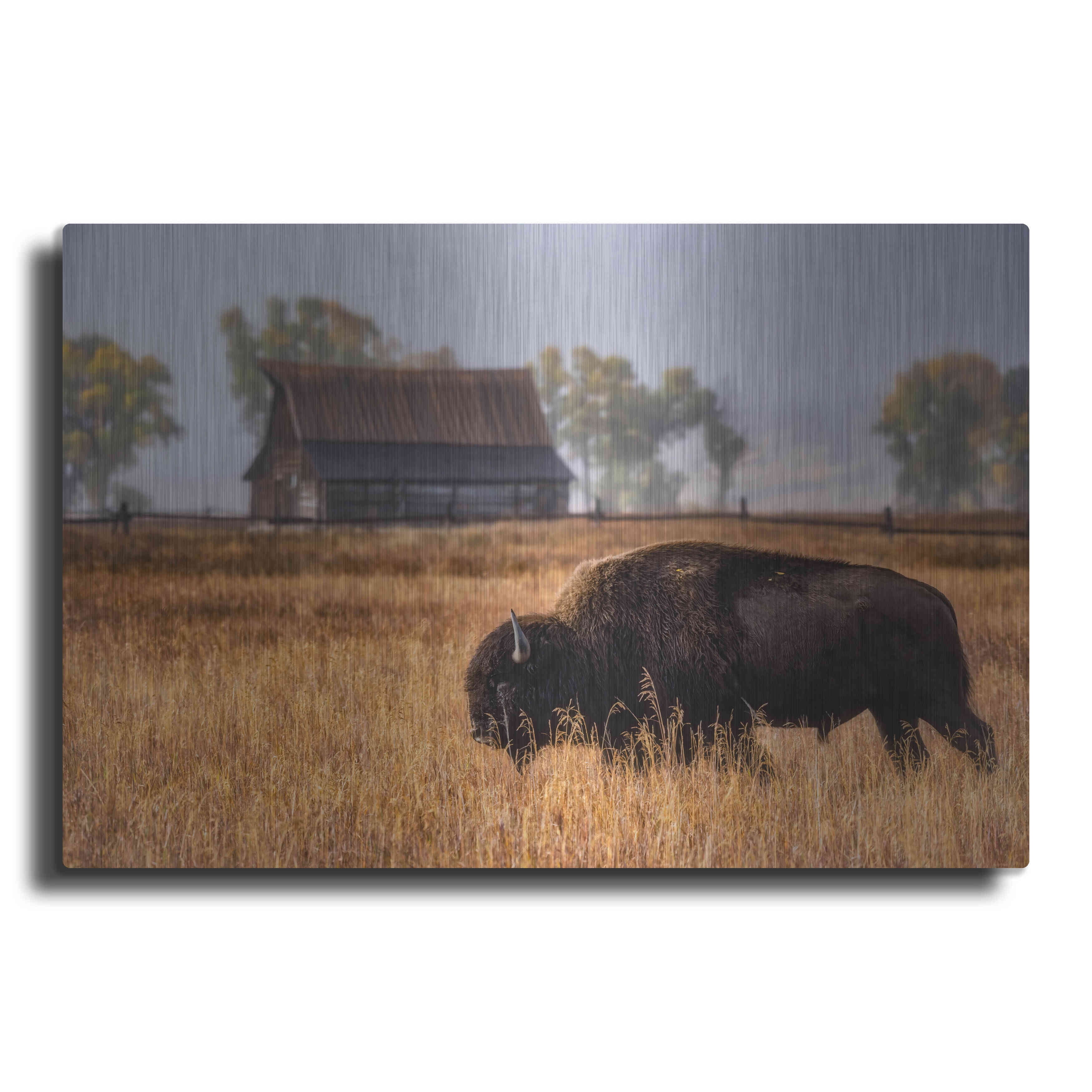 Luxe Metal Art 'Home on the Range Grand Teton National Park' by