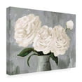 thumbnail image 4 of Trademark Fine Art Victoria Borges  White Blooms in Gray Vase II Canvas Wall Art, 4 of 4