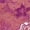 NoColor, variant on Cosabella womens Savona Teddy, m