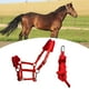 thumbnail image 4 of Práctico caballo Brida Rein Halter Headstall Longitud Equipo ecuestre densidad Esponja suave Cojín Correas Arnés Cuerda Rojo shamjiam Riendas de caballo, 4 of 9