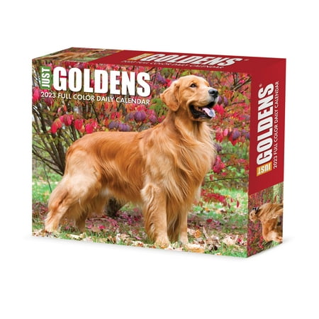 UPC: 0709786073818 | Goldens 2023 Box Calendar