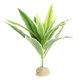 thumbnail image 2 of Planta de agua artificial artificiales de exterior exterior exterior real para acuarios se describe, 1 1 Salvador  Reptil Vivarium Plant, 2 of 10