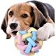 thumbnail image 1 of Puppy Tossing Toy Squeaky Dog Ball, Colorful Interactive Dog Toys, Weave Rubber Balls for DogsInteractive Dog Toys with Bell, Chew Toy Ball for Teeth, 1 of 4