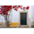 thumbnail image 2 of Jaynes Gallery 24x17 White Modern Wood Framed Museum Art Print Titled - Europe-Portugal-Obidos-Bougainvillea plant on house wall, 2 of 4