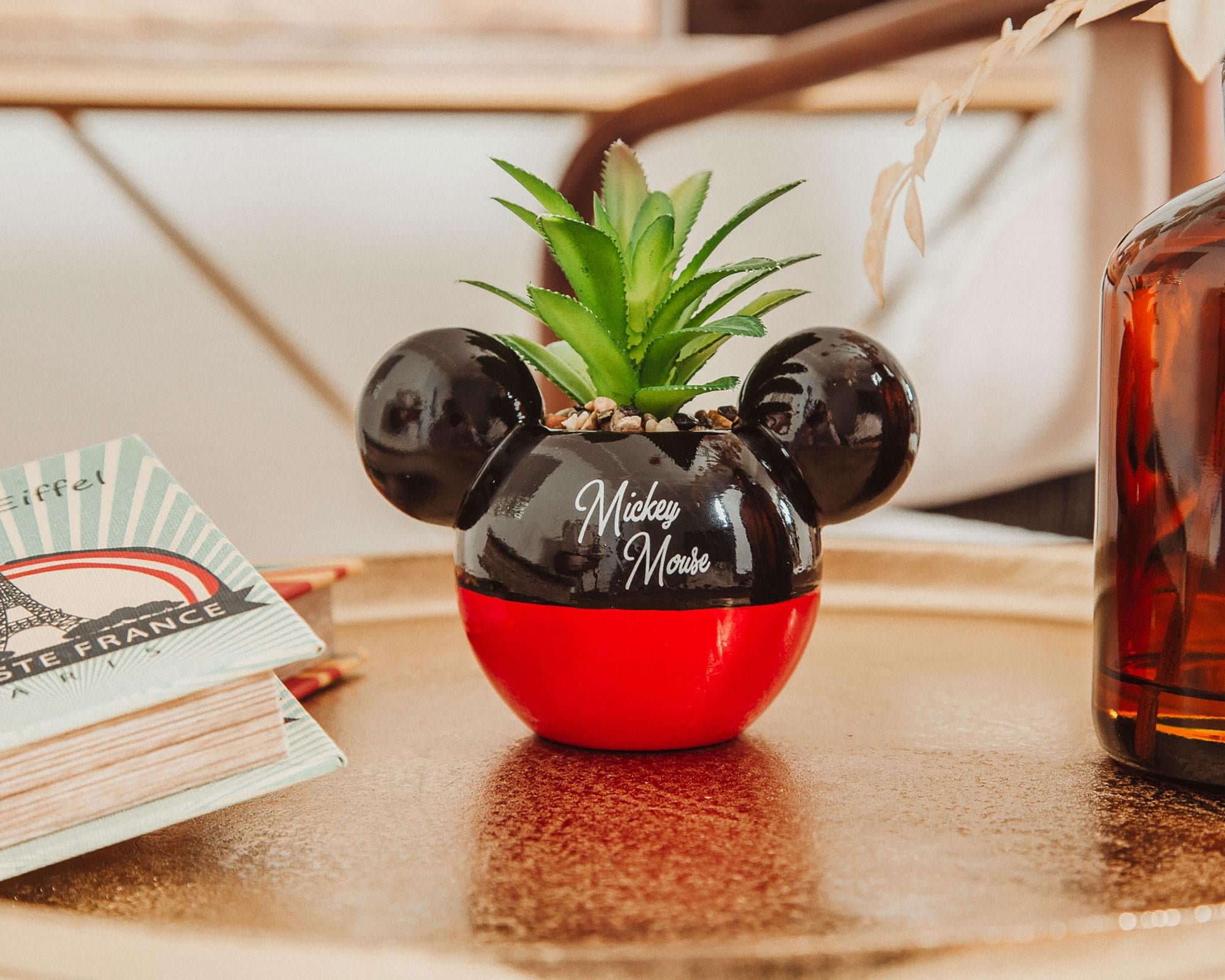 Disney Mickey Mouse 3-Inch Ceramic Mini Planter with Artificial Succulent -  Walmart.com