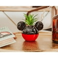 thumbnail image 7 of Disney Mickey Mouse 3-Inch Ceramic Mini Planter with Artificial Succulent, 7 of 7