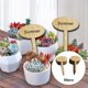 thumbnail image 2 of Etiquetas de plantas etiquetas de madera palos Set flores jardín estaca nota 50 piezas Oval G Zulema, 2 of 6
