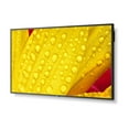 thumbnail image 6 of NEC MultiSync M551 2, 6 of 15