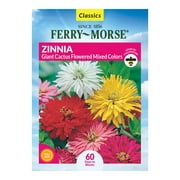 Ferry-Morse 340MG Zinnia Giant Cactus Flowered Colors Annual Flower Seeds Full Sun