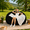 Black, variant on Sanae 6FT Round Glitter Fluffy Bean Bag Chair, Memory Foam, Washable Zipper Cover Vacuum Pack Furniture Living Room Bedroom Gaming Green