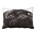 thumbnail image 1 of RYLABLUE Decorative Animal Decorative Size PillowCase Animals black pug Size 20x30 inches Two Side, 1 of 1