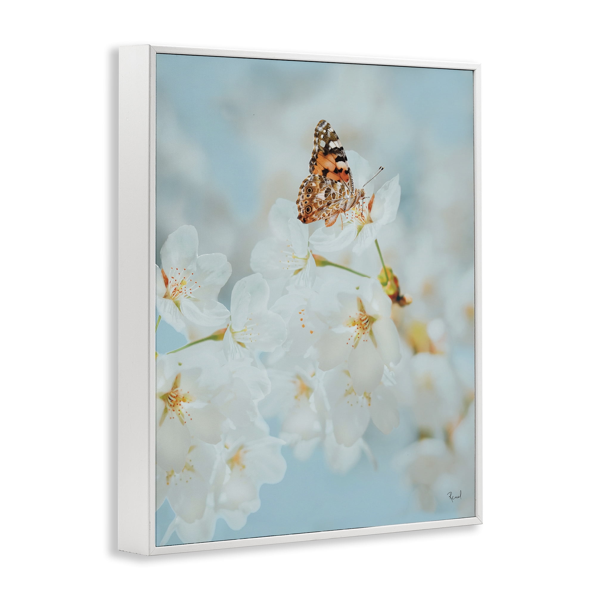 Stupell Industries Pale Blossoms & Butterfly Animals & Insects Photography White Framed Art Print Wall Art, 11 x 14