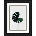 thumbnail image 1 of Artographie Studio 11x14 Black Ornate Wood Framed with Double Matting Museum Art Print Titled - Monstera Natural 06, 1 of 4