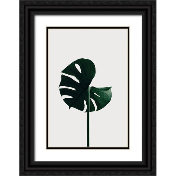 Artographie Studio 11x14 Black Ornate Wood Framed with Double Matting Museum Art Print Titled - Monstera Natural 06