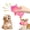 A, variant on Qocolcyl Cute Pig Grunting Squeaky Latex Dog Chew Toy, Squeeze Sound Pig Shape Puppy Teething Toy, Durable Soft Latex Interactive Play Toy For Small Medium Large Dogs Indoor Outdoor Dog Toys
